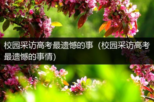 校园采访高考最遗憾的事（校园采访高考最遗憾的事情）