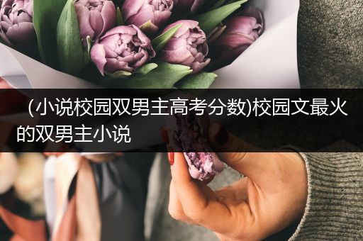 （小说校园双男主高考分数)校园文最火的双男主小说