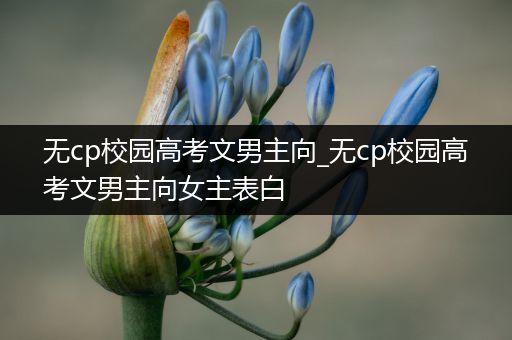 无cp校园高考文男主向_无cp校园高考文男主向女主表白