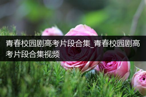 青春校园剧高考片段合集_青春校园剧高考片段合集视频