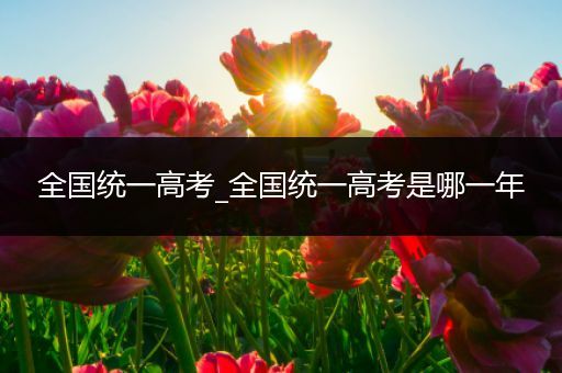 全国统一高考_全国统一高考是哪一年