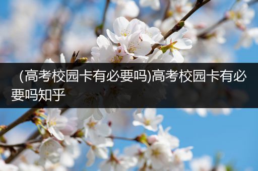 （高考校园卡有必要吗)高考校园卡有必要吗知乎