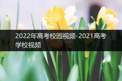 2022年高考校园视频-2021高考学校视频