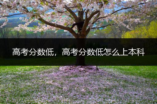 高考分数低，高考分数低怎么上本科