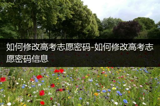 如何修改高考志愿密码-如何修改高考志愿密码信息