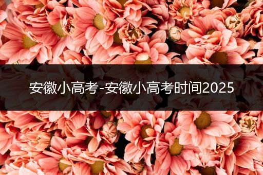安徽小高考-安徽小高考时间2025