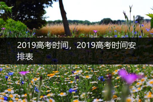 2019高考时间，2019高考时间安排表