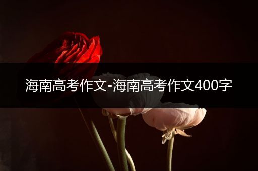 海南高考作文-海南高考作文400字