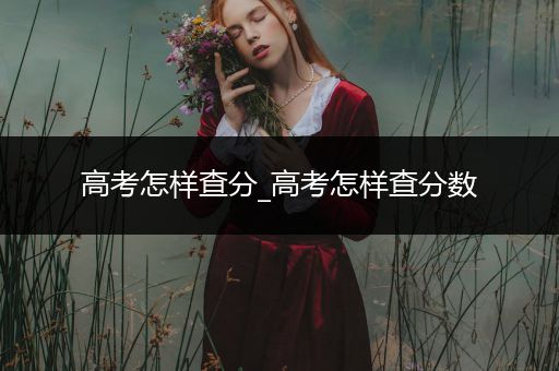 高考怎样查分_高考怎样查分数
