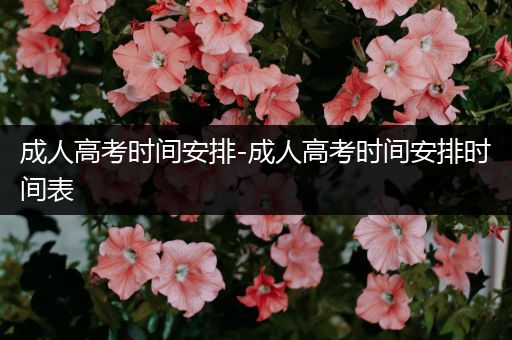 成人高考时间安排-成人高考时间安排时间表