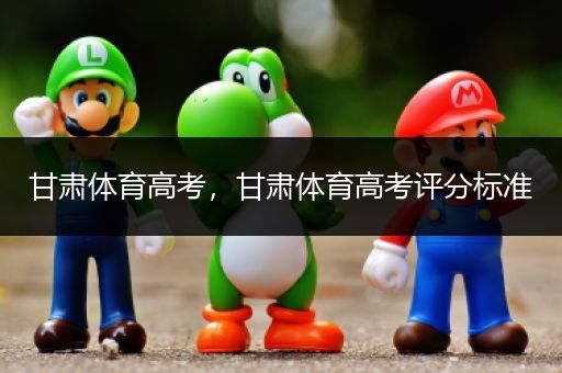 甘肃体育高考，甘肃体育高考评分标准