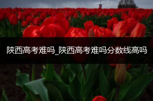 陕西高考难吗_陕西高考难吗分数线高吗
