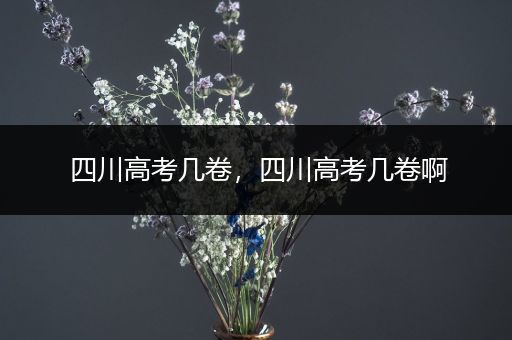四川高考几卷，四川高考几卷啊