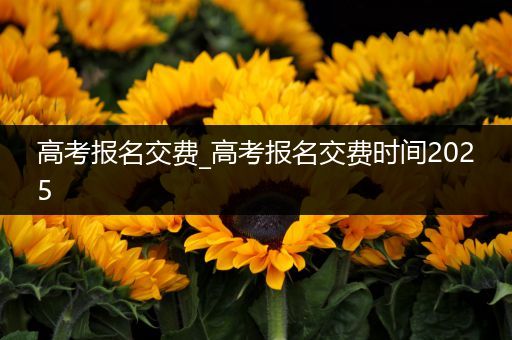 高考报名交费_高考报名交费时间2025