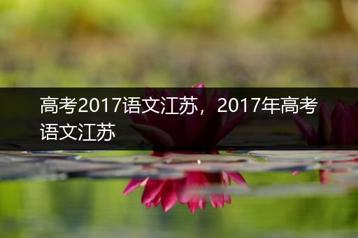 高考2017语文江苏，2017年高考语文江苏