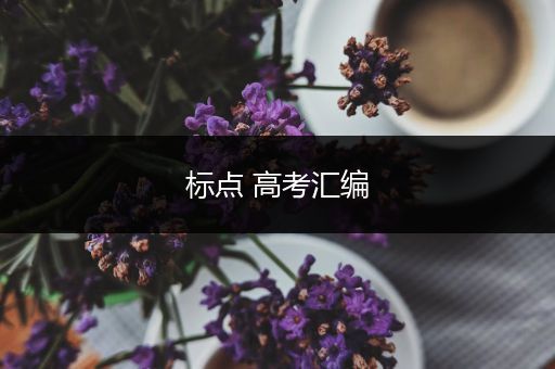 标点 高考汇编