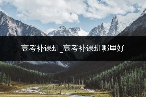 高考补课班_高考补课班哪里好
