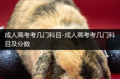 成人高考考几门科目-成人高考考几门科目及分数
