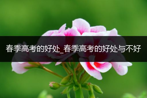 春季高考的好处_春季高考的好处与不好