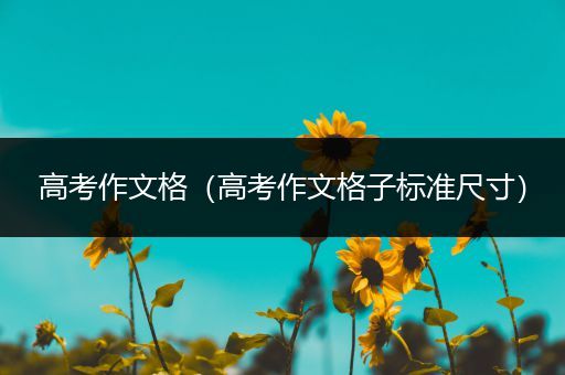 高考作文格（高考作文格子标准尺寸）