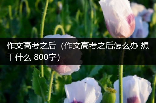 作文高考之后（作文高考之后怎么办 想干什么 800字）