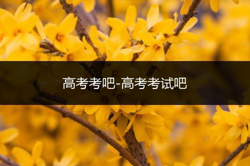 高考考吧-高考考试吧