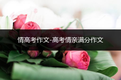 情高考作文-高考情亲满分作文