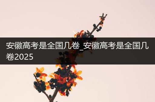 安徽高考是全国几卷_安徽高考是全国几卷2025