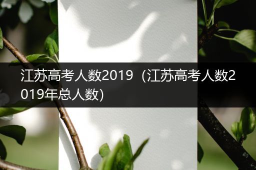 江苏高考人数2019（江苏高考人数2019年总人数）