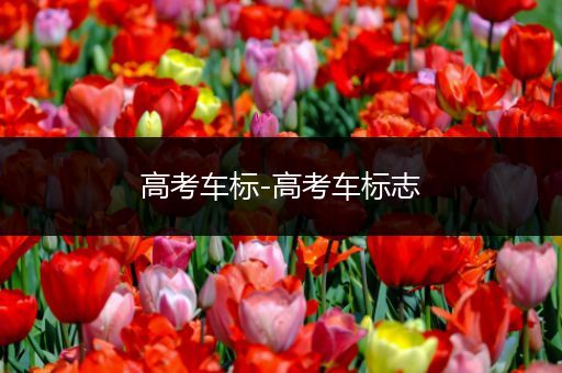 高考车标-高考车标志
