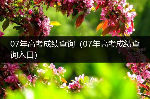07年高考成绩查询（07年高考成绩查询入口）