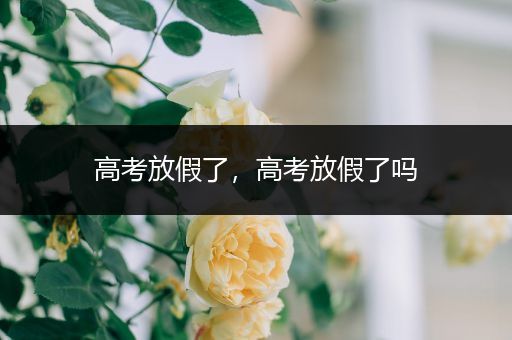 高考放假了，高考放假了吗