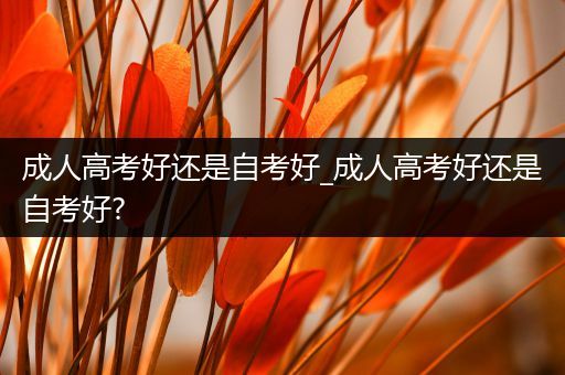 成人高考好还是自考好_成人高考好还是自考好?