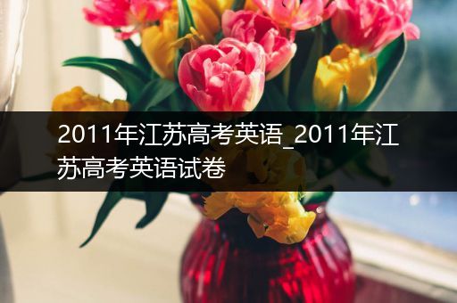 2011年江苏高考英语_2011年江苏高考英语试卷