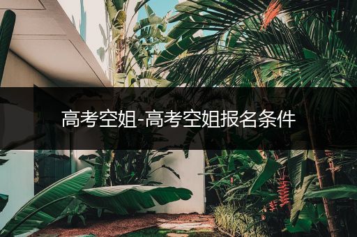 高考空姐-高考空姐报名条件