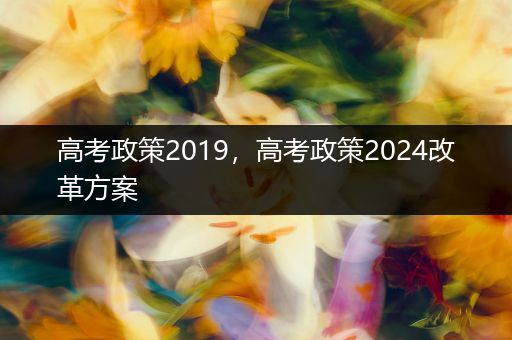 高考政策2019，高考政策2024改革方案