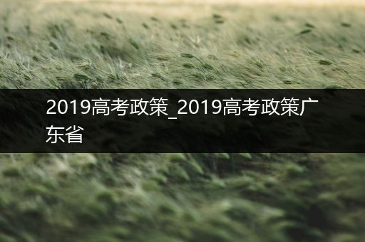 2019高考政策_2019高考政策广东省