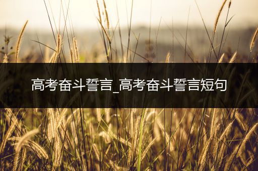 高考奋斗誓言_高考奋斗誓言短句