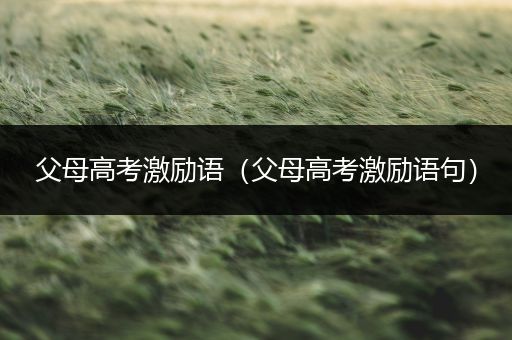 父母高考激励语（父母高考激励语句）
