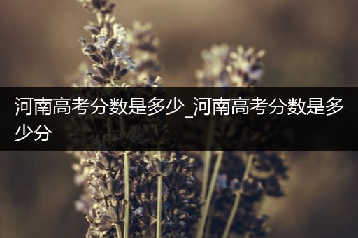 河南高考分数是多少_河南高考分数是多少分