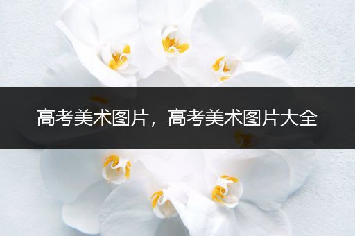 高考美术图片，高考美术图片大全