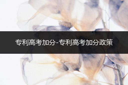 专利高考加分-专利高考加分政策