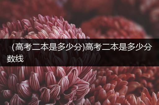（高考二本是多少分)高考二本是多少分数线