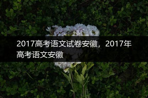2017高考语文试卷安徽，2017年高考语文安徽
