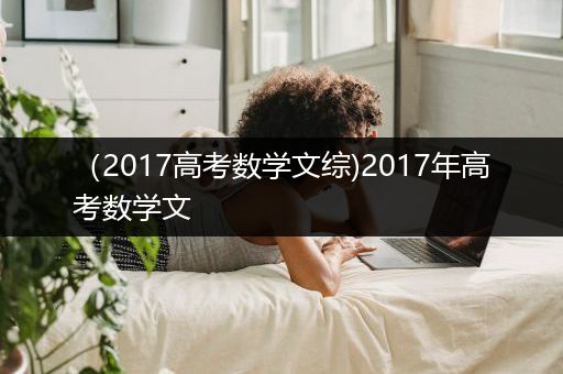 （2017高考数学文综)2017年高考数学文