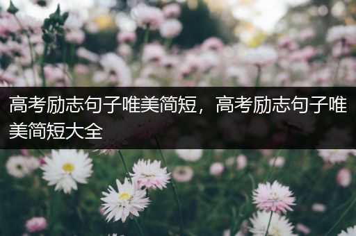 高考励志句子唯美简短，高考励志句子唯美简短大全