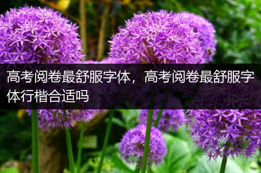 高考阅卷最舒服字体，高考阅卷最舒服字体行楷合适吗