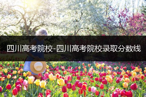四川高考院校-四川高考院校录取分数线