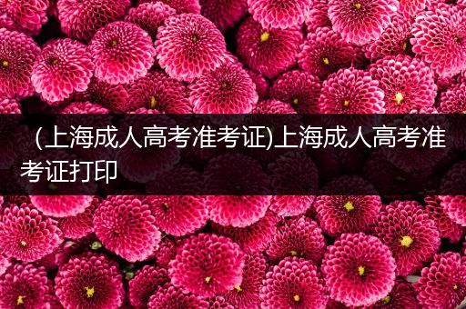 （上海成人高考准考证)上海成人高考准考证打印