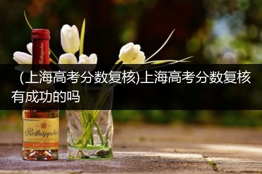 （上海高考分数复核)上海高考分数复核有成功的吗
